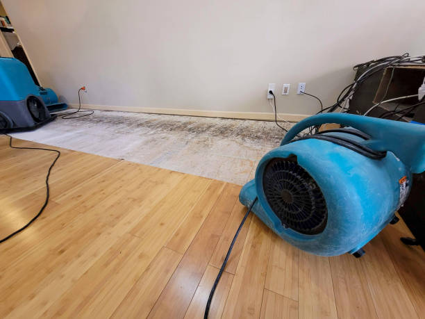 Professional Structural Drying technician working in Oakdale, MN